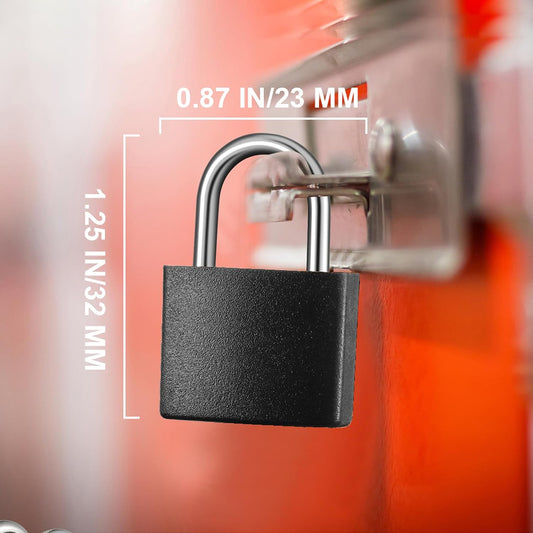 Ripeng 10 Pcs Small Padlocks with Keys Mini Metal Locks for Luggage, Black