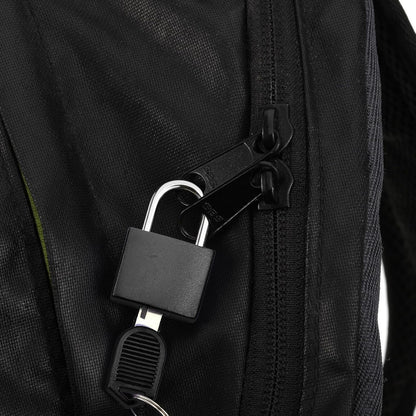 Ripeng 10 Pcs Small Padlocks with Keys Mini Metal Locks for Luggage, Black